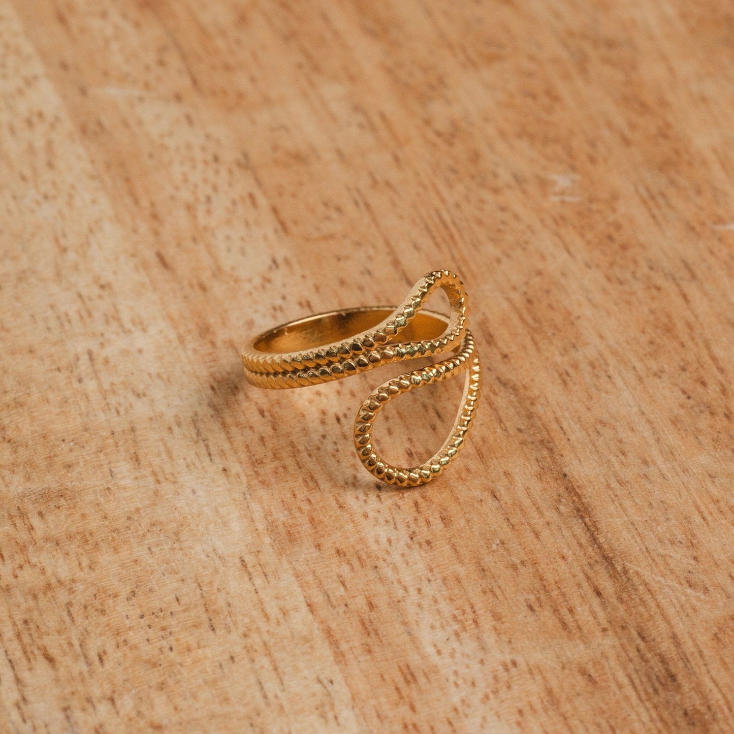 Anel Ajustável Ava Abstrato Banhado em Ouro 18K Anel Ajustável Minha loja